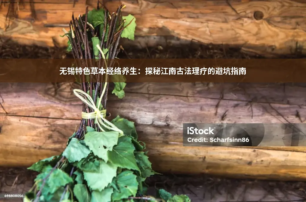 经络草本